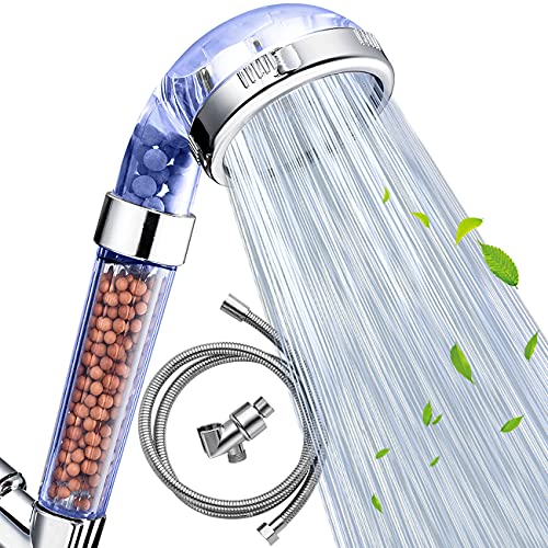 Shower Head with Hose and Braket