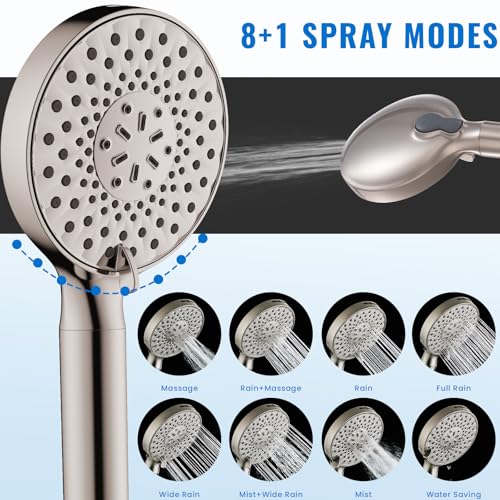 Filtered Shower Head with Handheld