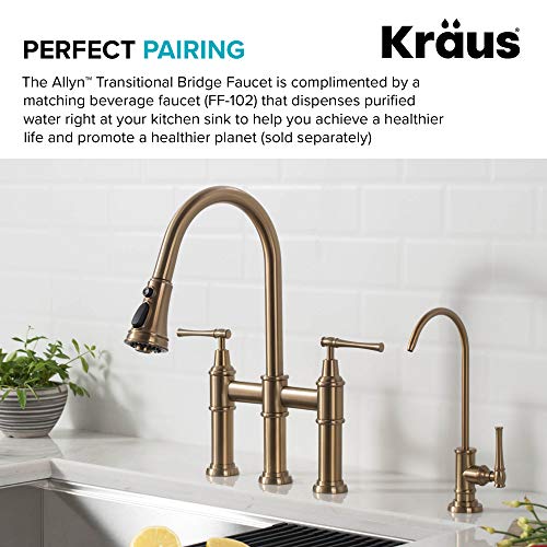 Allyn Transitional Bridge Kitchen Faucet with Pull