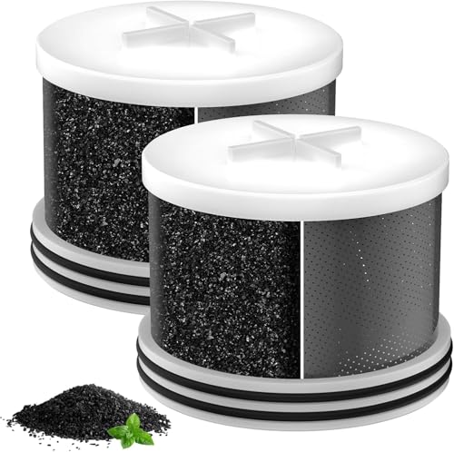 Shower Head Activated Carbon Filter Replacement Cartridge for MakeFit Filtered Shower Head (2 Count)