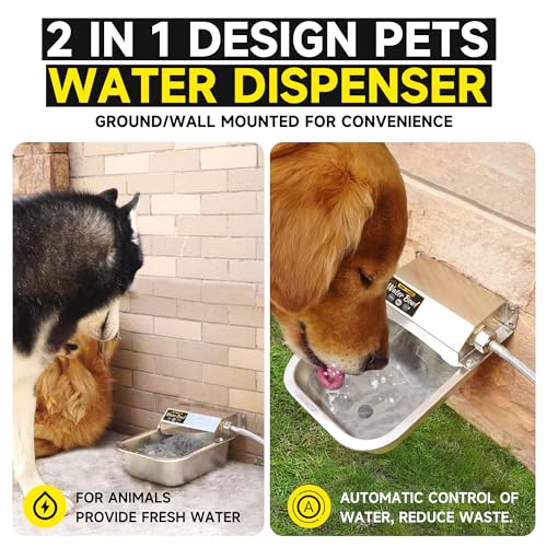Automatic Water Dispenser for Dogs