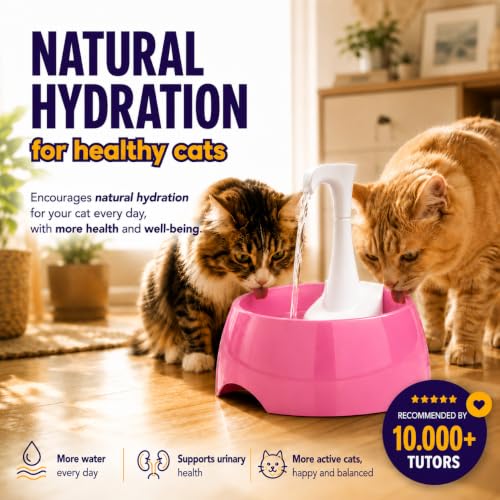 Aqua First Pet Water Fountain