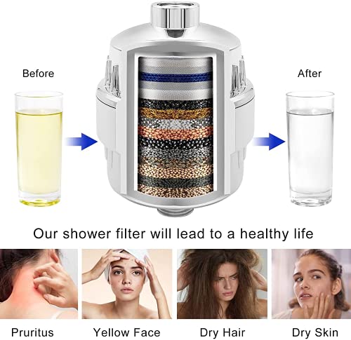 Filtered Shower Head