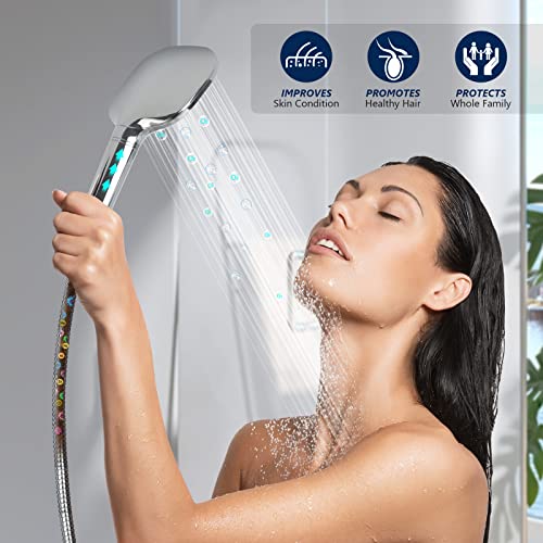 Shower Filter Replacement (2 Count)