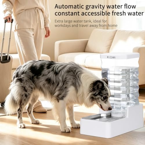 10L Filtered Dog Water Dispenser