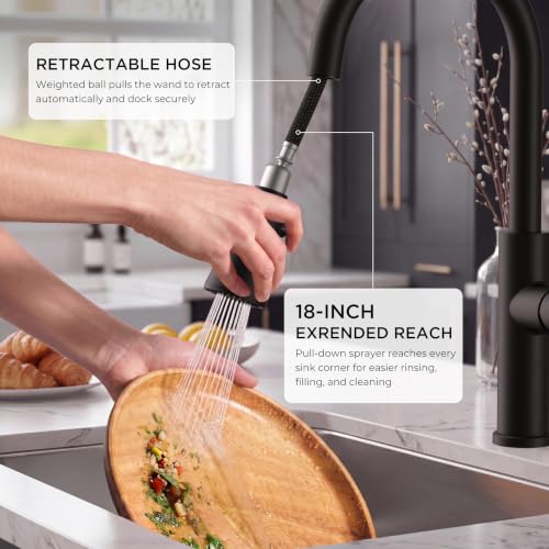 Black Kitchen Faucet with Pull Down Sprayer