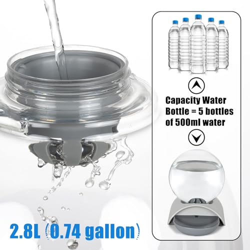 Pet Water Dispenser