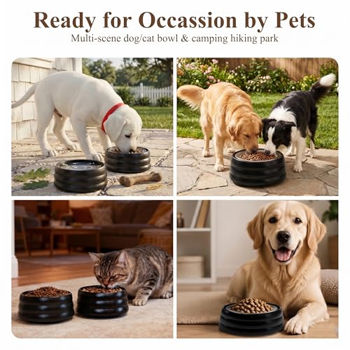 BOBO & Bowl Dog Water Bowl Food