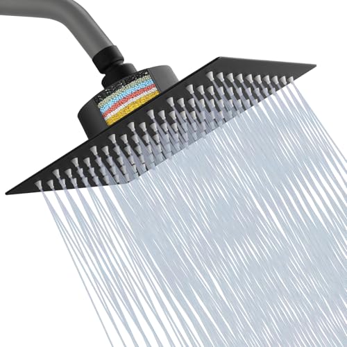 Filtered Shower Head