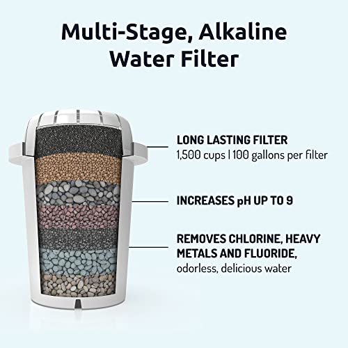 PH001 Black Alkaline Water Filter Replacement (3 Count)