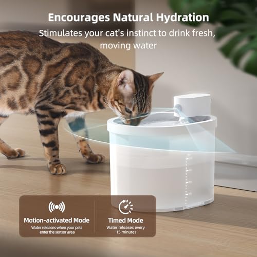 Cat Water Fountain