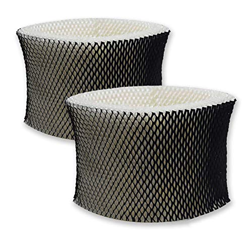 HWF64 Filters Compatible with Holmes Filter B fits Holmes HM1730 HM1745 HM1746 HM1750 HM2200 Sunbeam SCM1745 SCM1746 Bionaire BWF64 BWF64CS BCM1745 BCM1745