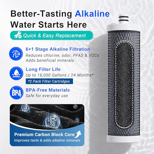 Upgraded] LCF Alkaline Replacement Filter (2 Count)