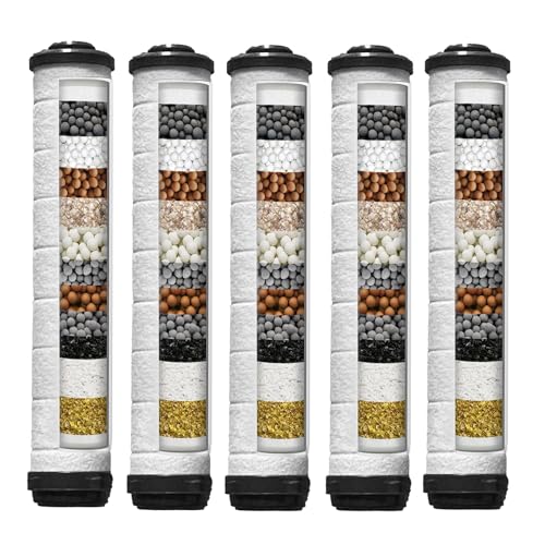 Shower Filter for Handheld Shower Head