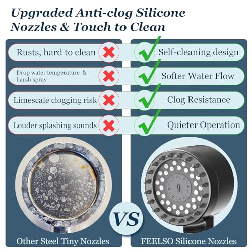 Filtered Shower Head with Handheld