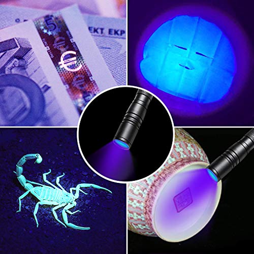 UV Flashlight 395nm Zoomable Black Light (2 Count)
