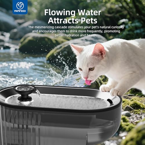 Cat Water Fountain Stainless Steel with a Silicone Mat
