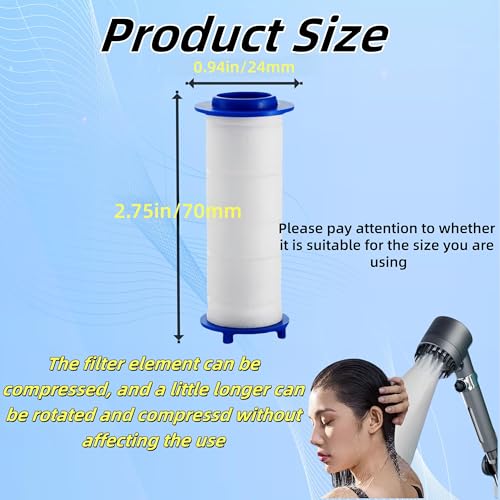 10Pcs Shower Head Filter Drivese (10 Count)