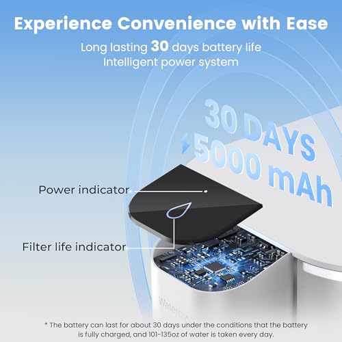 ED01AW Alkaline Electric Water Filter Pitcher