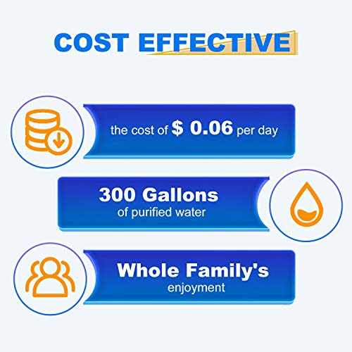 RWF0100A Refrigerator Water Filter (2 Count)