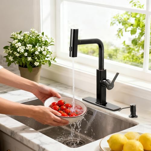 Kitchen Faucet with Pull Down Sprayer