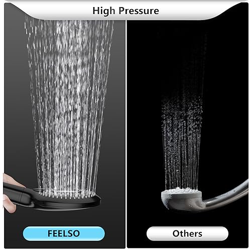 Filtered Shower Head with Handheld