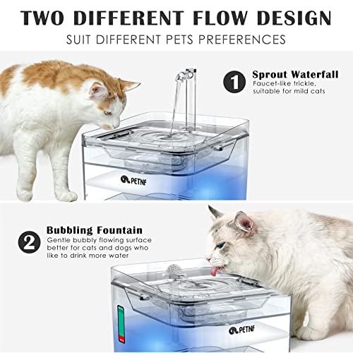 Transparent 3L