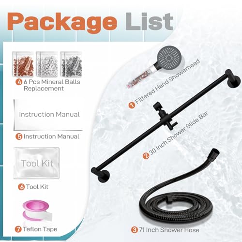 Filtered Handheld Showerhead with 30 (6 Count)