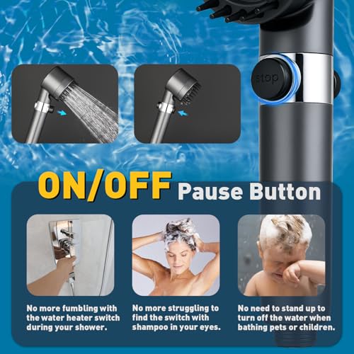 Filtered Shower Head with Handheld (6 Count)