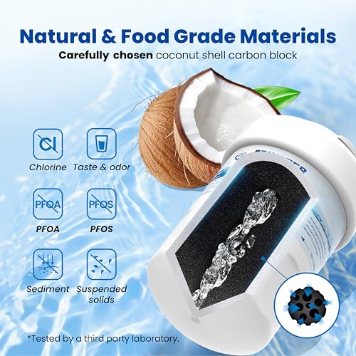 WS613B Water Filter (2 Count)
