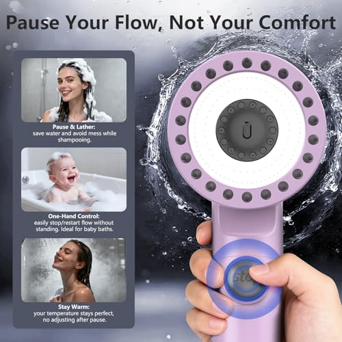 Filtered Shower Head with Handheld
