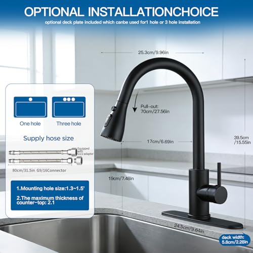Kitchen Faucet with Pull Down Sprayer
