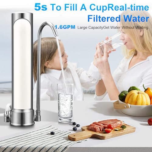 10'' Replacement Ceramic Candle Water Filters for Countertop Filter