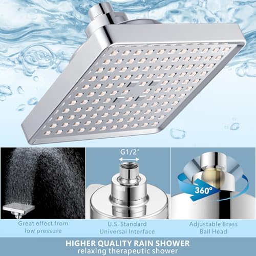 Filtered Shower Head with Handheld Combo