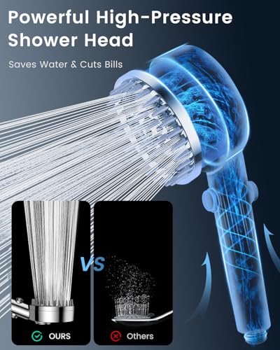 Filtered Shower Head with Handheld