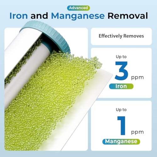 Iron Manganese