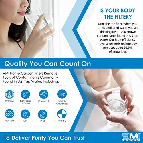Inline Carbon Water Filter