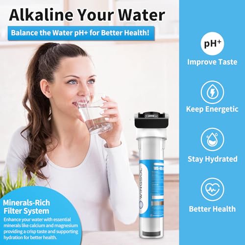 Water Filter for Sink with Faucet