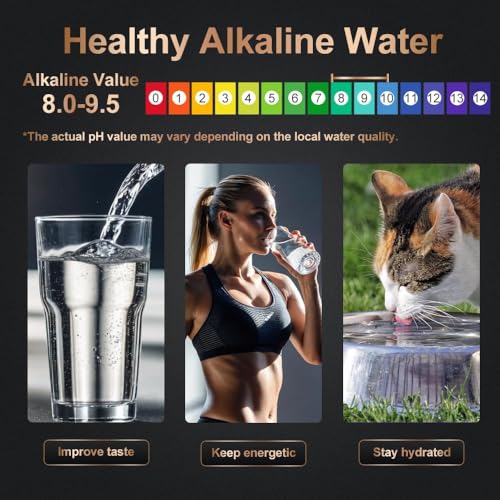 Water Filter for Sink with Faucet