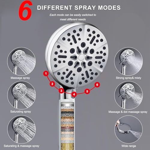 Tandem Shower Head with Filters