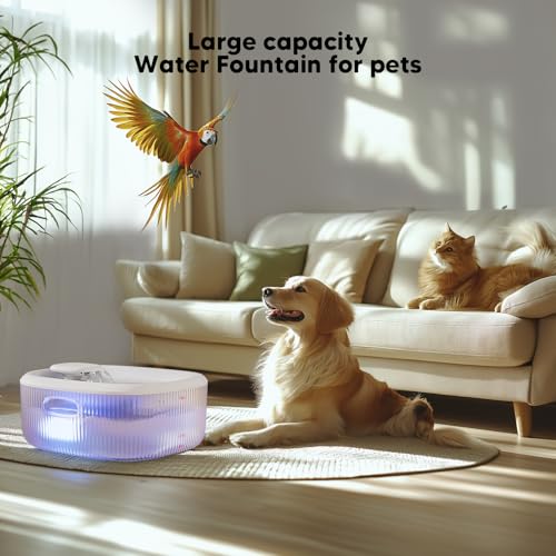 Dog Water Fountain for Large Dogs
