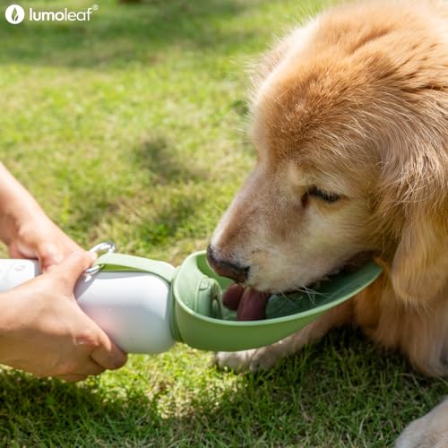 Insulated Dog Water Bottle 27 oz Stainless Steel