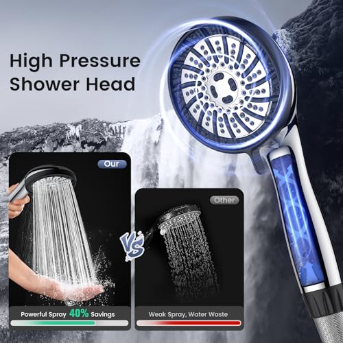 Filtered Shower Head with Handheld