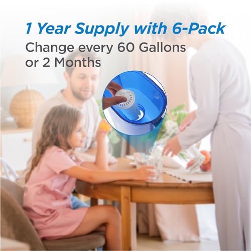 Water Filter Replacements (6 Count)