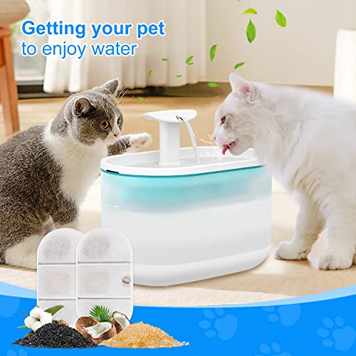 8+8PCS Cat Water Fountain Filter Compatible with PETLIBRO PLWF002 (16 Count)