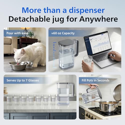 Countertop RO Water Filter