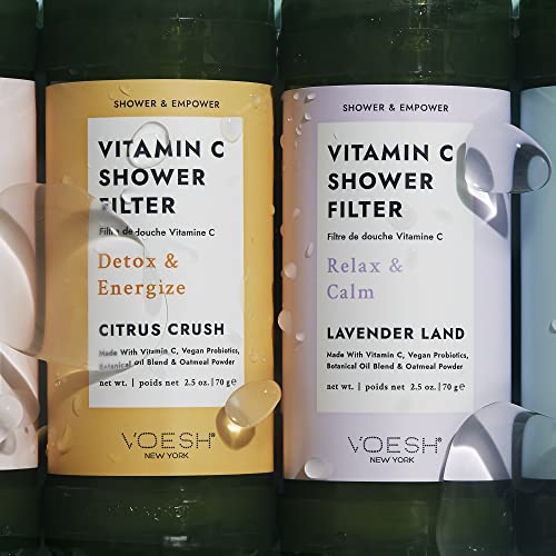 Vitamin C Shower Filter Duo (2 Count)