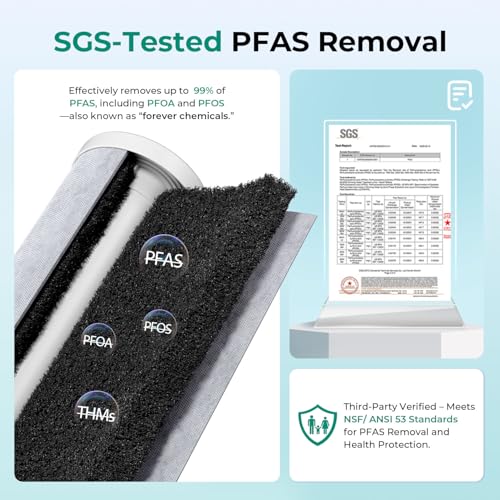 PFAS & Heavy Metals Whole House Water Filter System