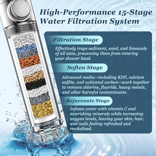 Filtered Shower Head with Handheld