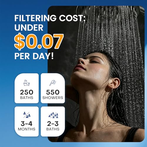 Filtered Shower Head with Handheld (3 Count)